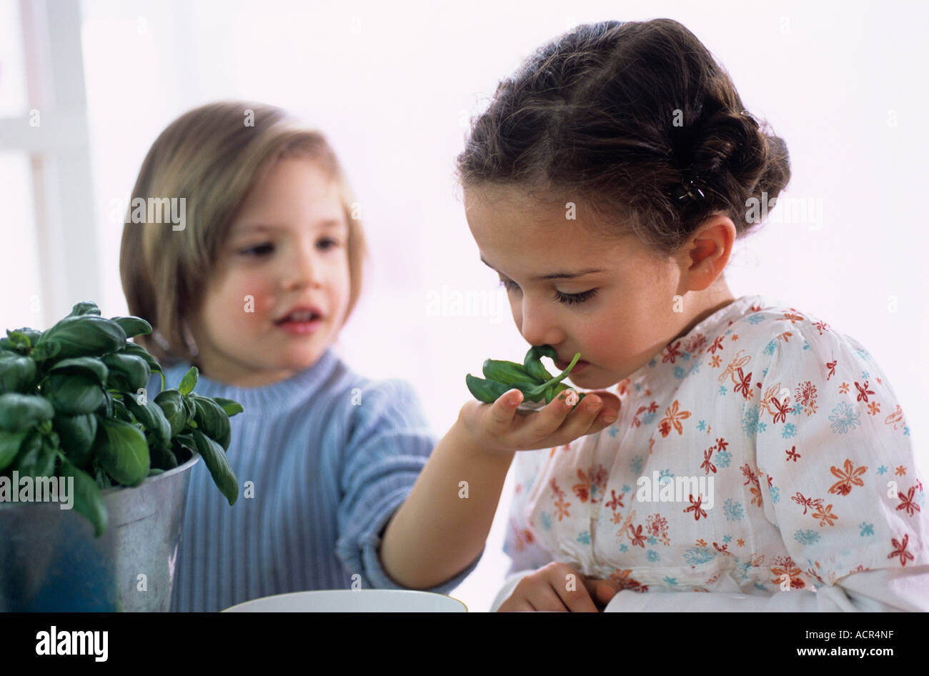 Deux enfants avec des herbes dans la cuisine Banque D'Images