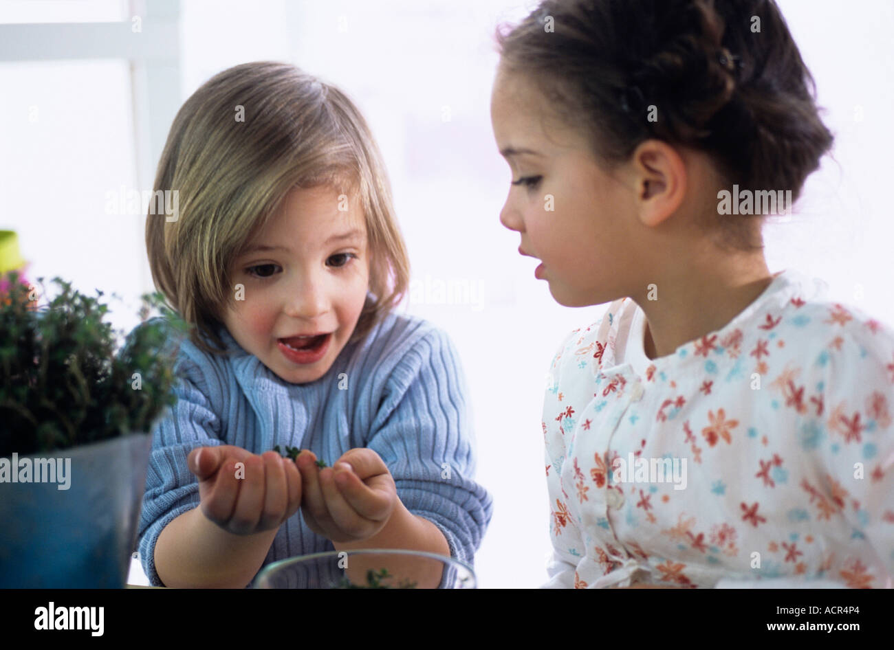 Deux enfants (4-7) avec des herbes, close-up Banque D'Images