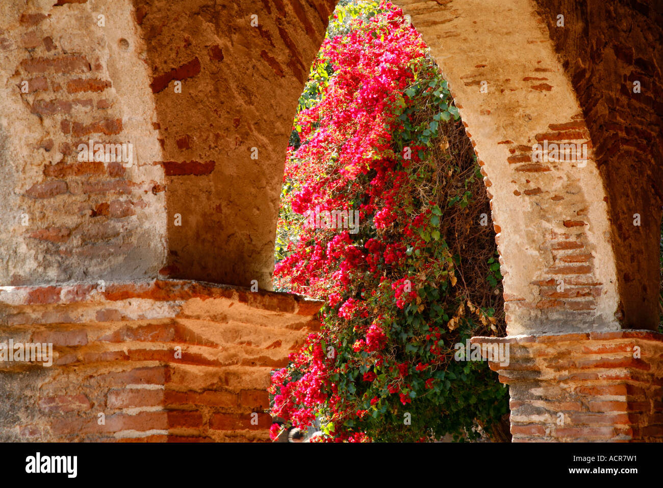 Les fleurs et le Corridor Nord lors de l'Historique Mission San Juan Capistrano Orange County en Californie Banque D'Images