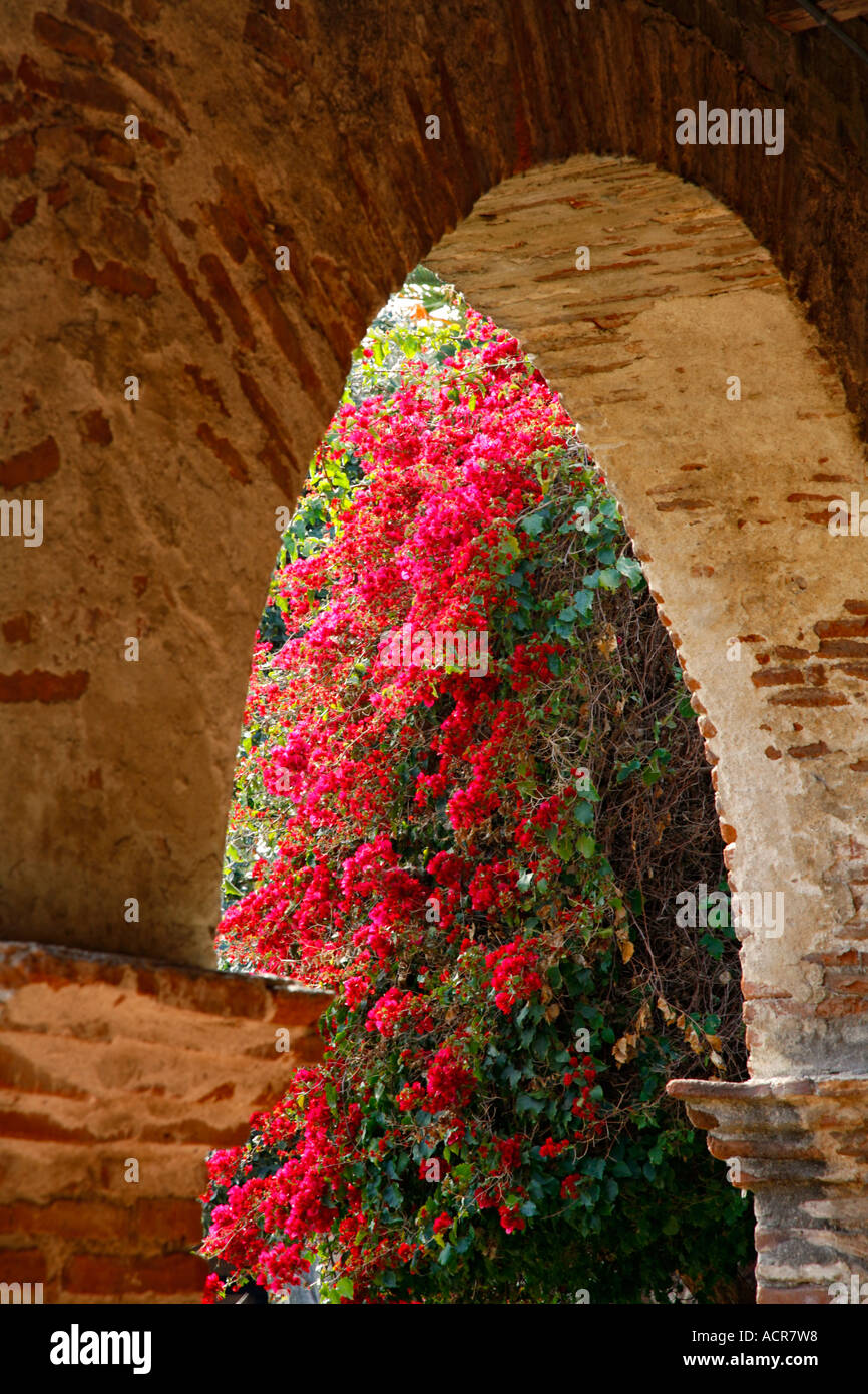 Les fleurs et le Corridor Nord lors de l'Historique Mission San Juan Capistrano Orange County en Californie Banque D'Images