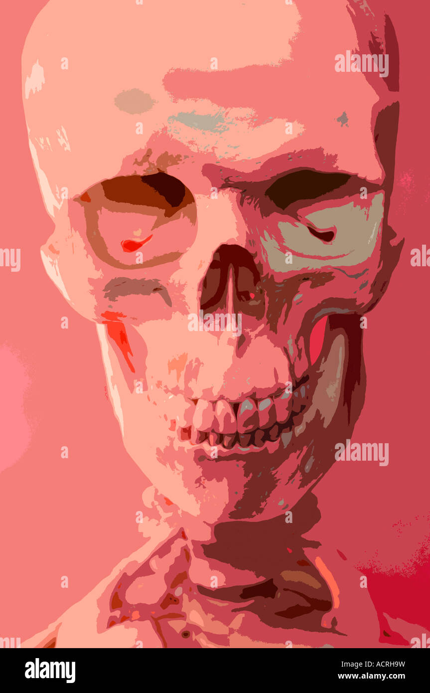 Une impression artistique d'un crâne humain à l'aquarelle Banque D'Images