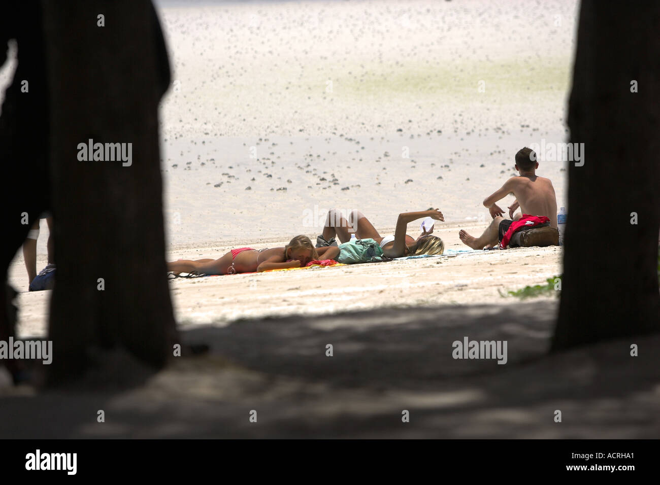 Les jeunes gens assis sur Hat Sai Ri beach l'île de Ko Tao Thaïlande Banque D'Images