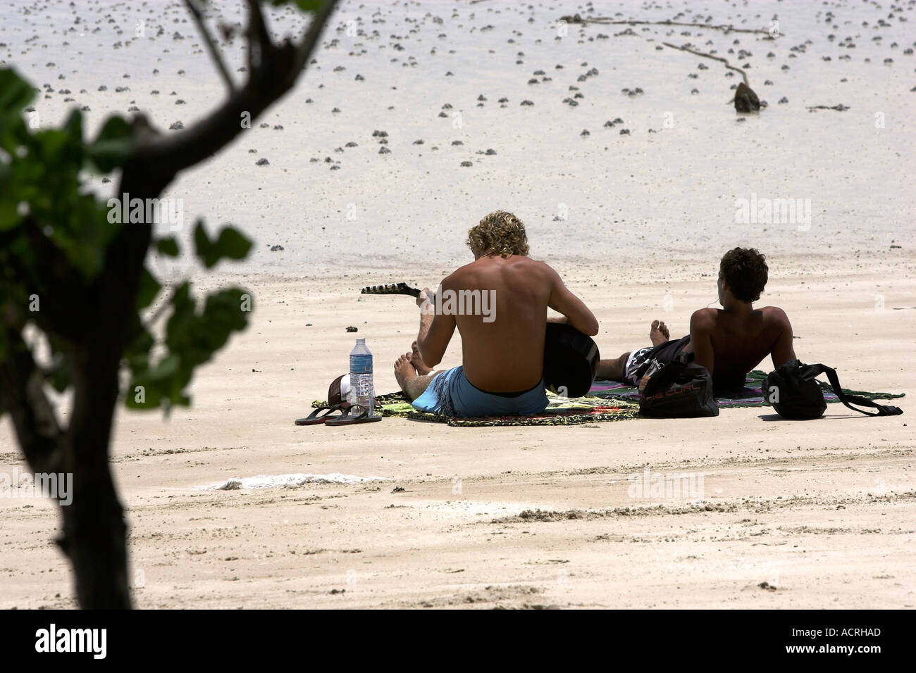 Jeune homme joue de la guitare sur Hat Sai Ri beach l'île de Ko Tao Thaïlande Banque D'Images