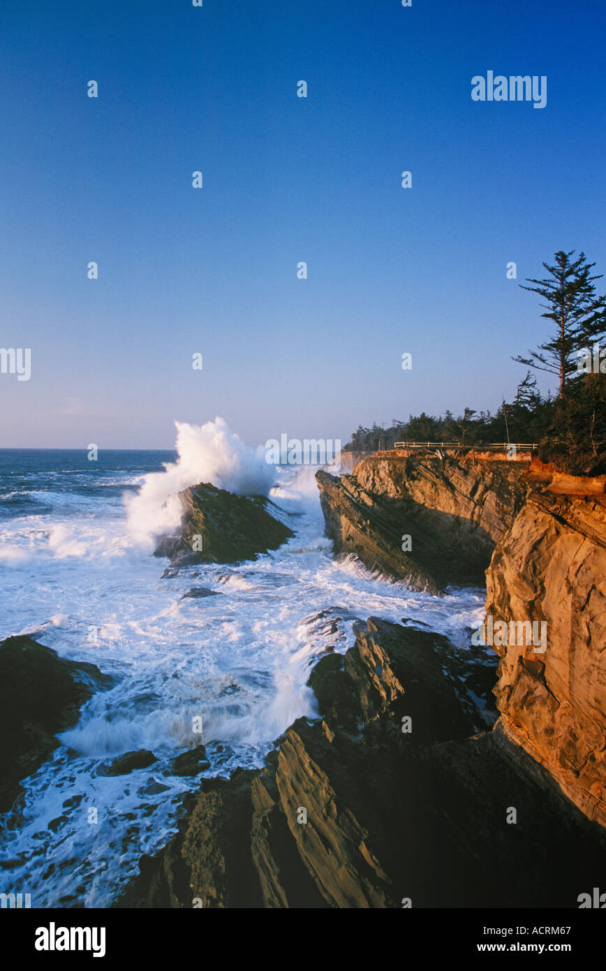 Côte de l'Oregon USA vague se brisant sur les rochers Shore Acres State Park Banque D'Images