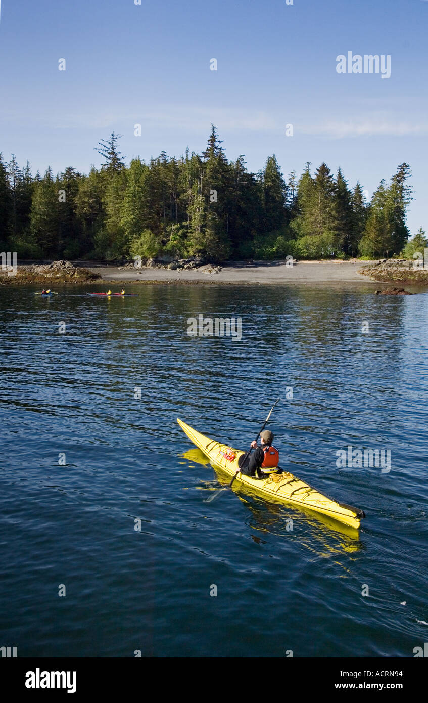 Kayak de mer au sud-est de l'anse avec Orcas Kayaks de mer outfitters Ketchikan Alaska Banque D'Images