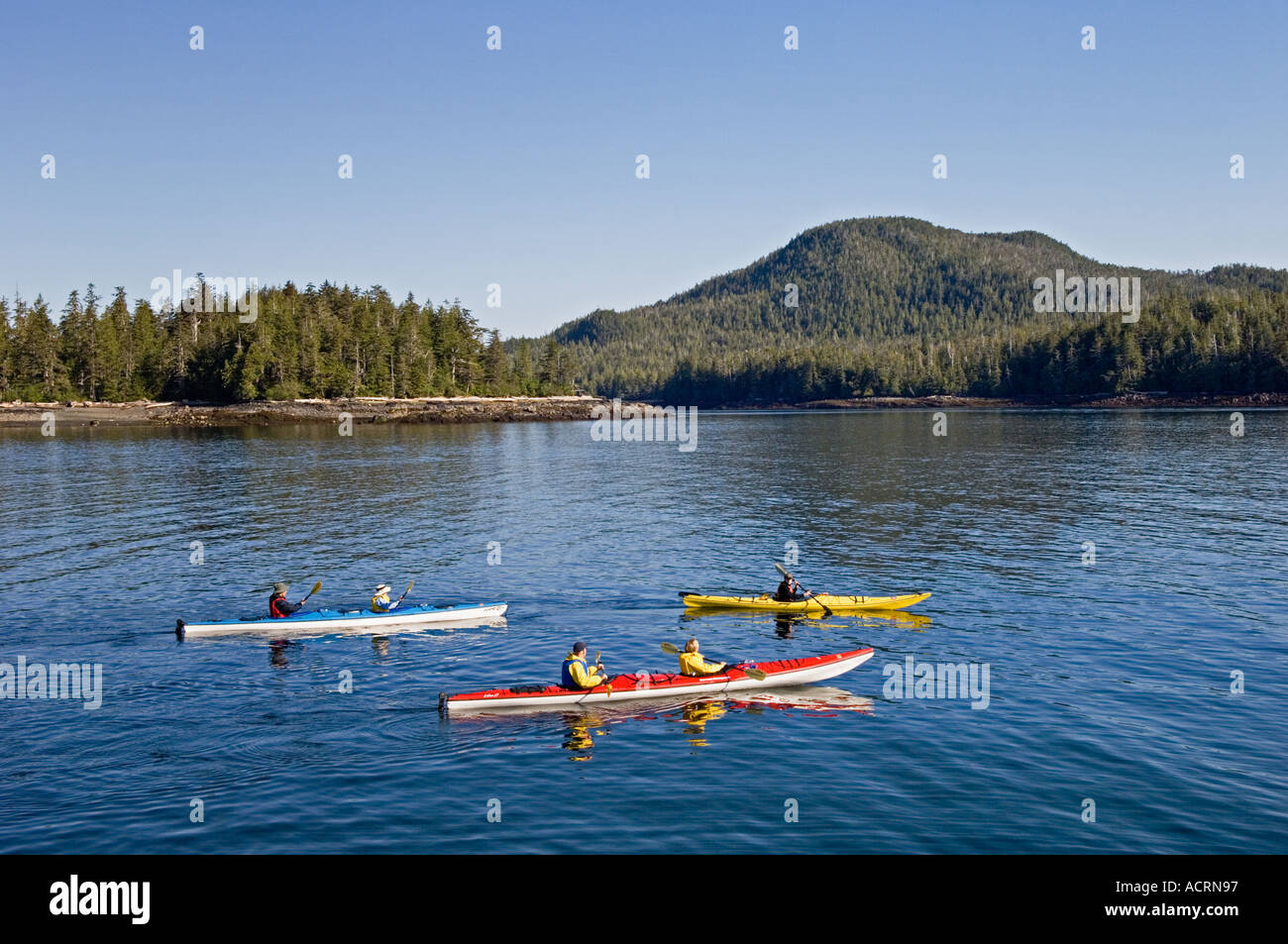 Kayak de mer au sud-est de l'anse avec Orcas Kayaks de mer outfitters Ketchikan Alaska Banque D'Images
