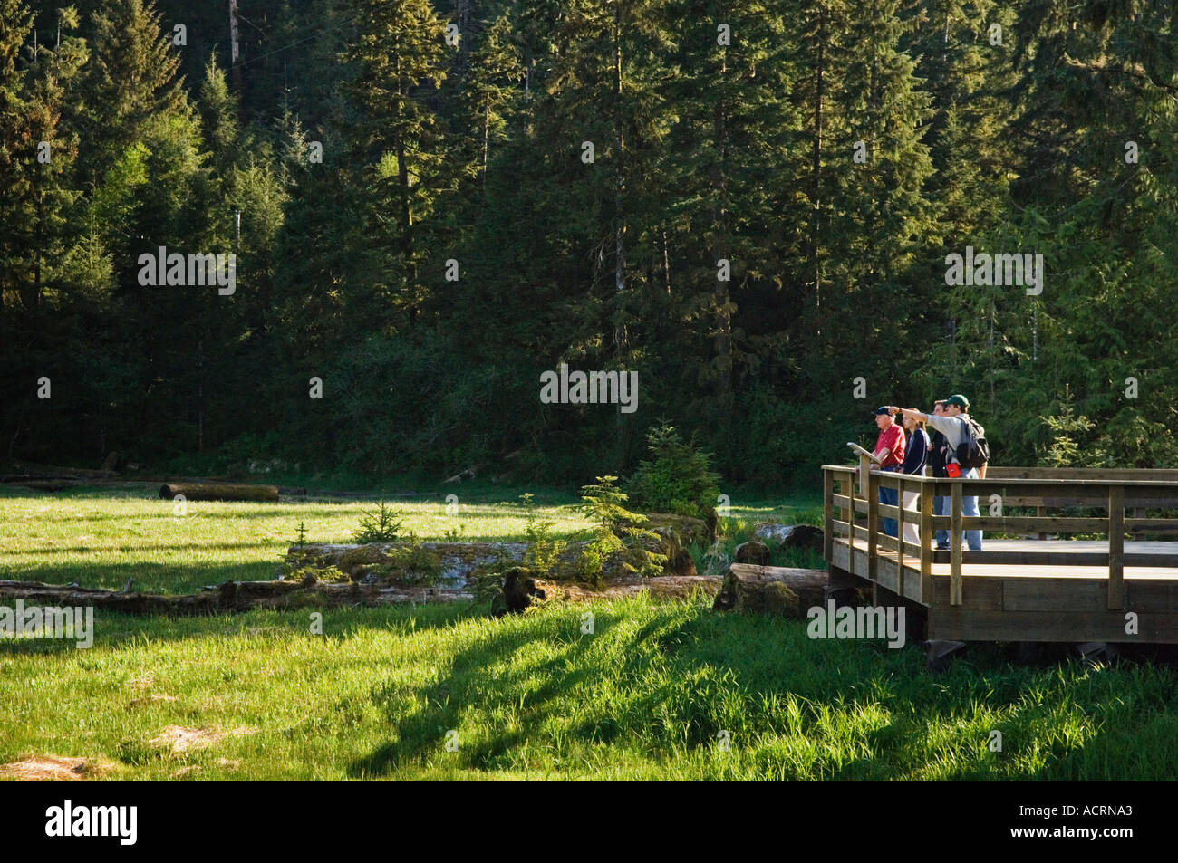 Les visiteurs et les guide sur le sentier de la promenade surplombant le marais des zones humides au Sanctuaire de la forêt tropicale de l'Alaska, près de Ketchikan Alaska Banque D'Images