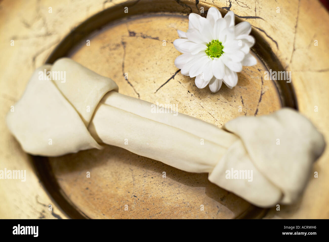 L'os de chien en cuir brut et daisy sur plaque dans selective focus Banque D'Images