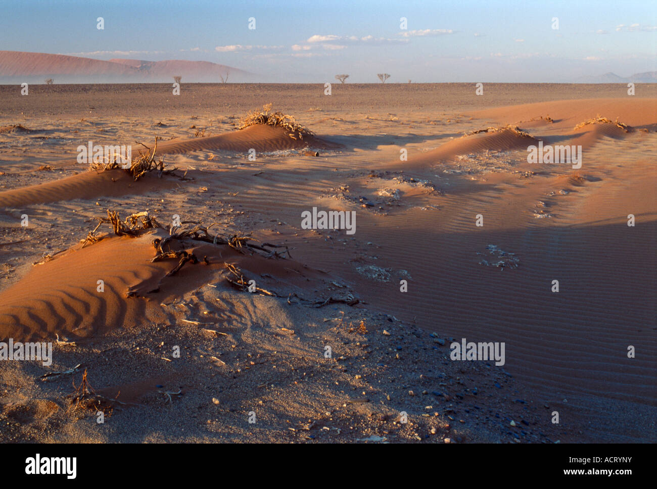 Un paysage de désert de Namib Namibie Sossusvlei Banque D'Images