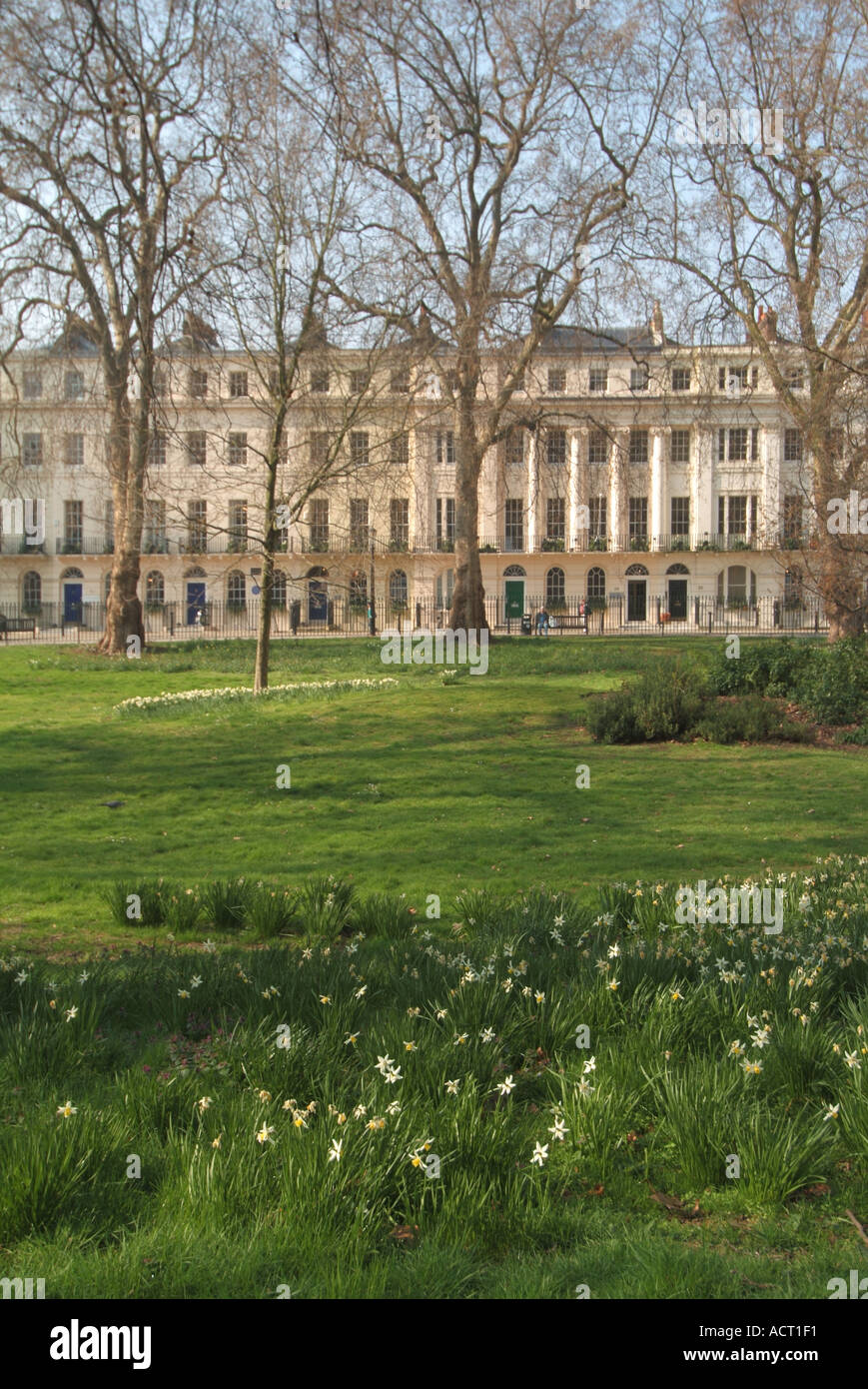 Jardins à Fitzroy Square avec la façade Robert Adams au-delà inclut une résidence de George Bernard Shaw et Virginia Stephen Londres Angleterre Banque D'Images