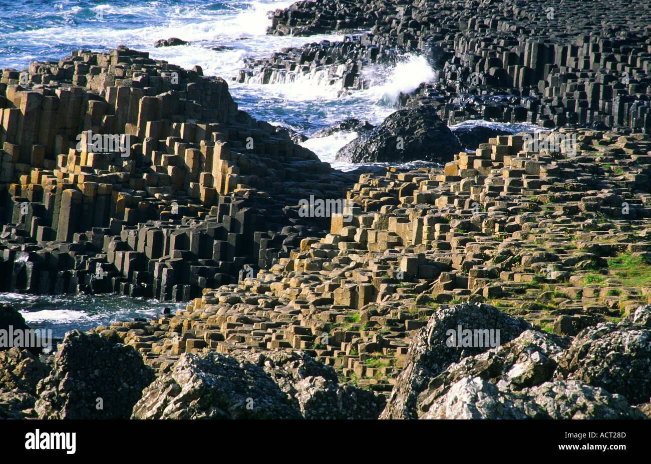 La chaussée des géants près de Bushmills, Irlande. Colonnes hexagonales de roche basaltique volcanique du nid d'abeille et de la Grande chaussée Banque D'Images