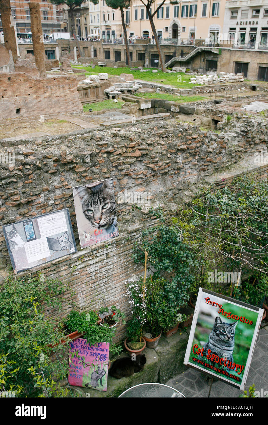 Torre Argentina Cat Sanctuary Rome Italie Europe Banque D'Images