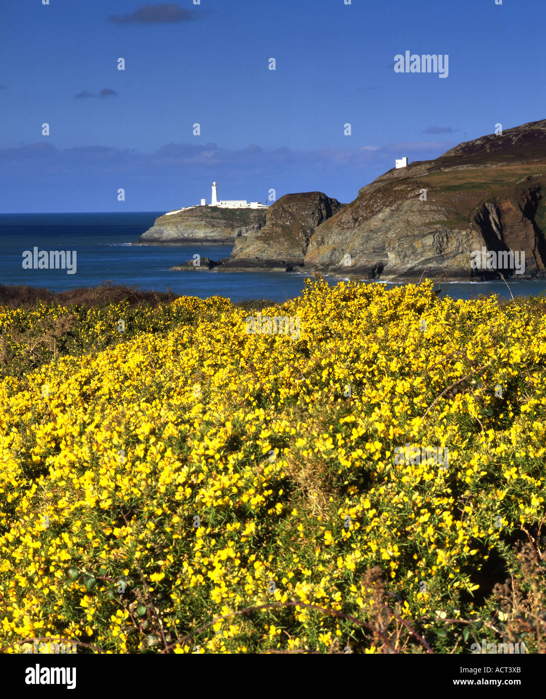Phare de South Stack et Ianthi's Tower, Holy Island, Anglesey, au nord du Pays de Galles, Royaume-Uni Banque D'Images