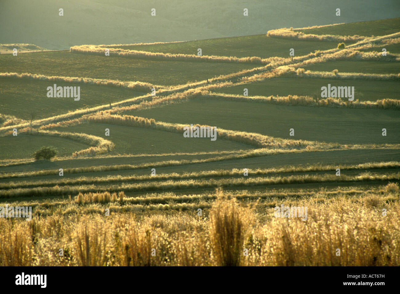 Paysage avec des champs labourés en fin d'après-midi Clarens Afrique du Sud Banque D'Images