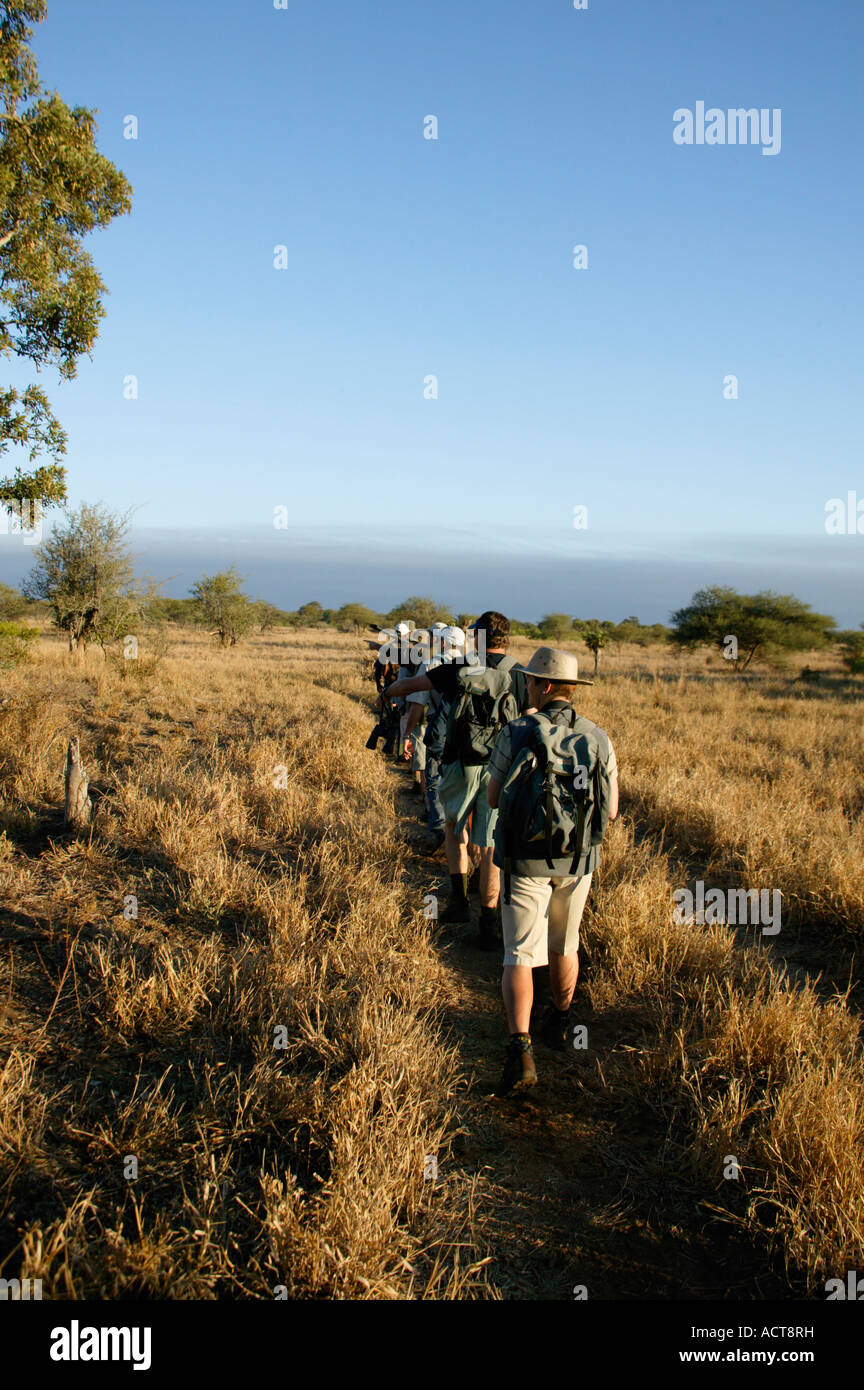 Les touristes sur l'Sweni sentier de marche dans le Parc National Kruger en Afrique du Sud, province du Limpopo Banque D'Images