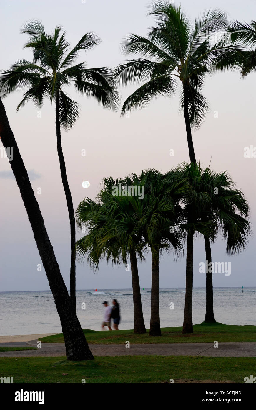 Couple on tôt le matin, se promener sous le clair de lune sur une plage de Waikiki Oahu Hawaii Banque D'Images