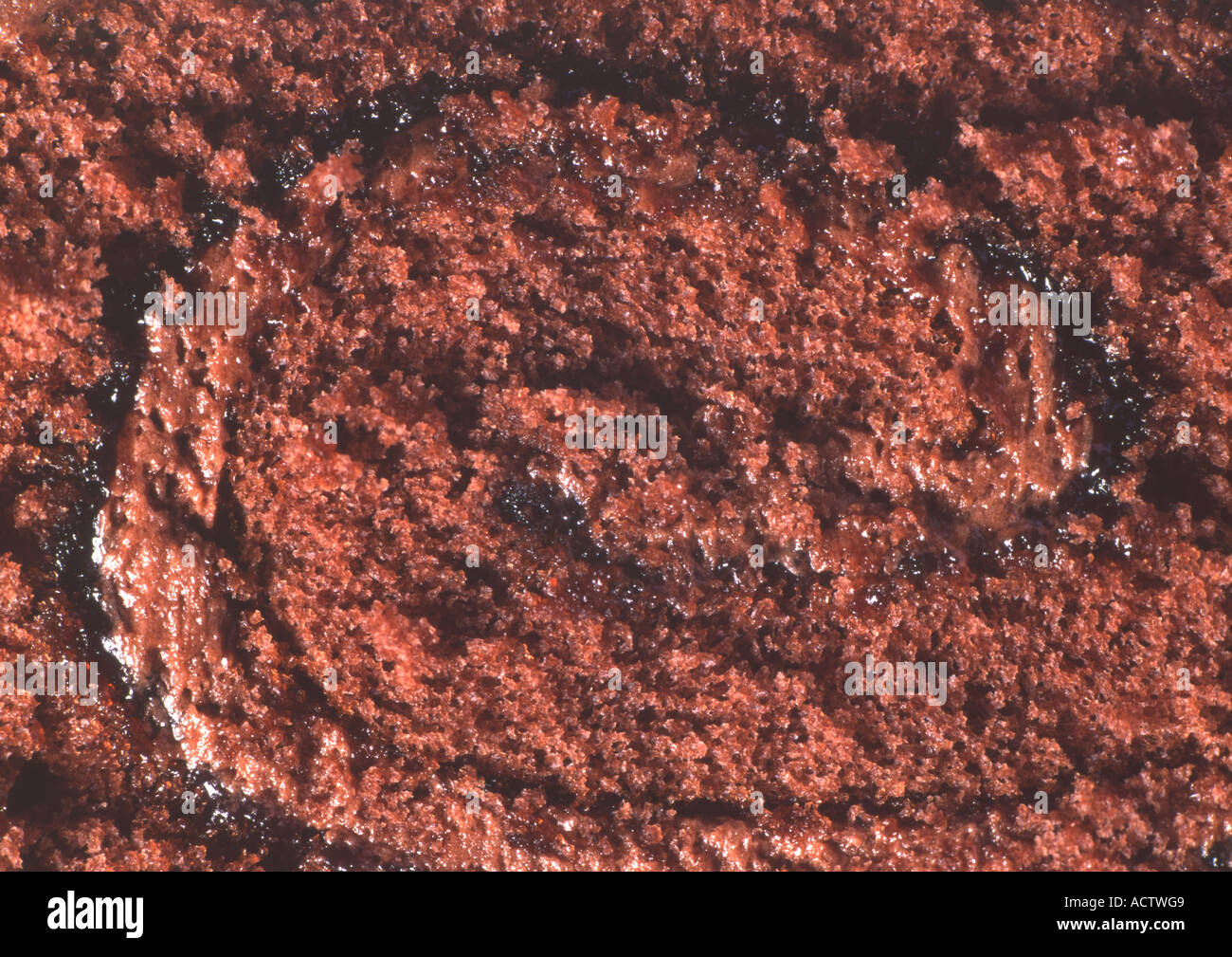 Swissa chocolat format moyen (rouleau) Banque D'Images