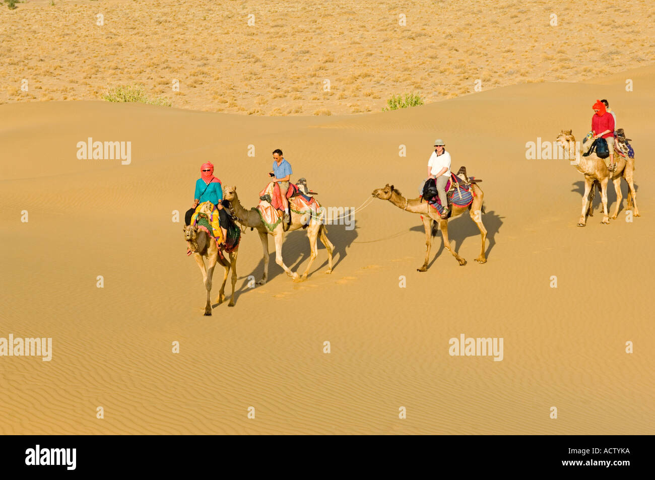 Un groupe de touristes sur des chameaux (Camelus dromedarius) en voyageant à travers le désert du Thar sur un safari de chameau. Banque D'Images