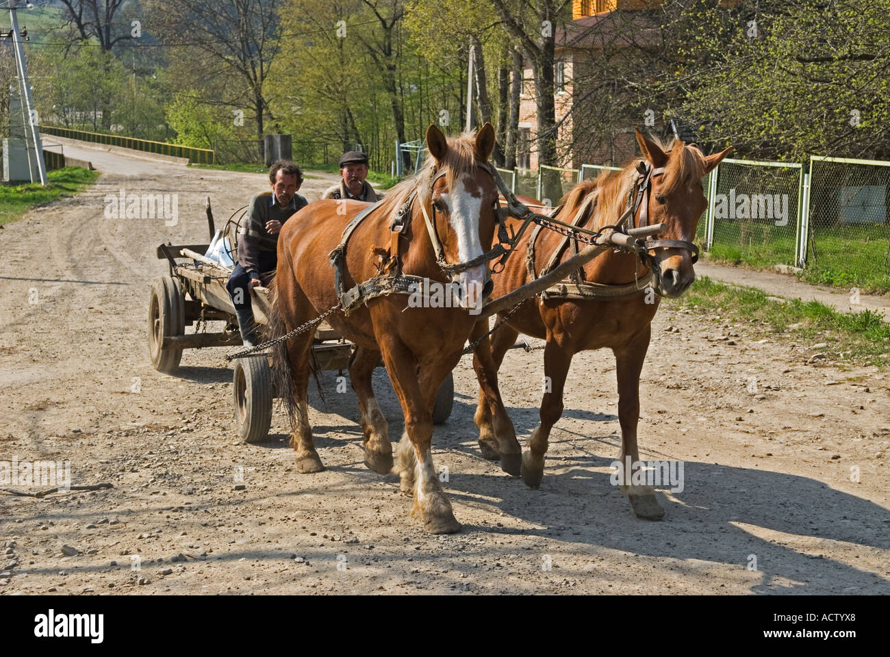 Transport de chevaux et panier Hutsulshyna Carpates ouest de l'Ukraine Banque D'Images