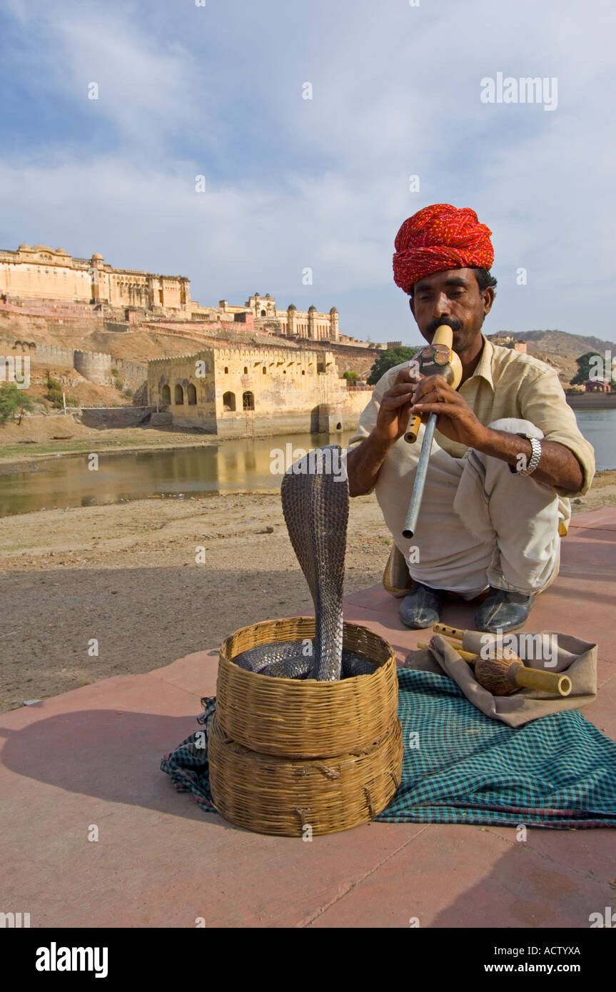 Un charmeur de serpent et son Indien ou d'ours à lunettes (Naja naja) effectuant près de l'Amber Palace. Banque D'Images