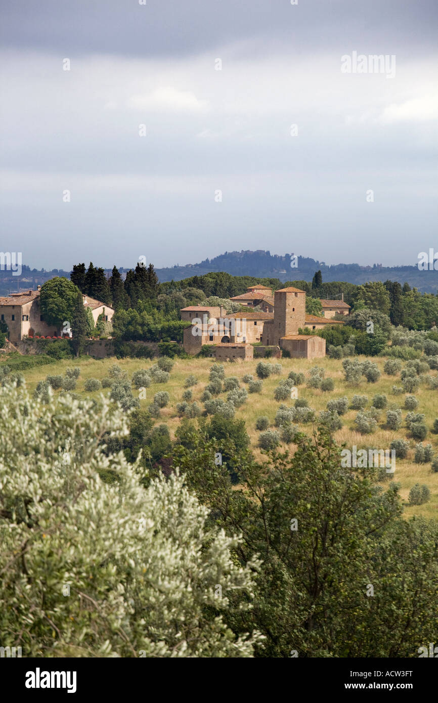 Campagne toscane  terres cultivées avec des rangées d'oliviers de Toscane, Italie, Méditerranée, Europe Banque D'Images