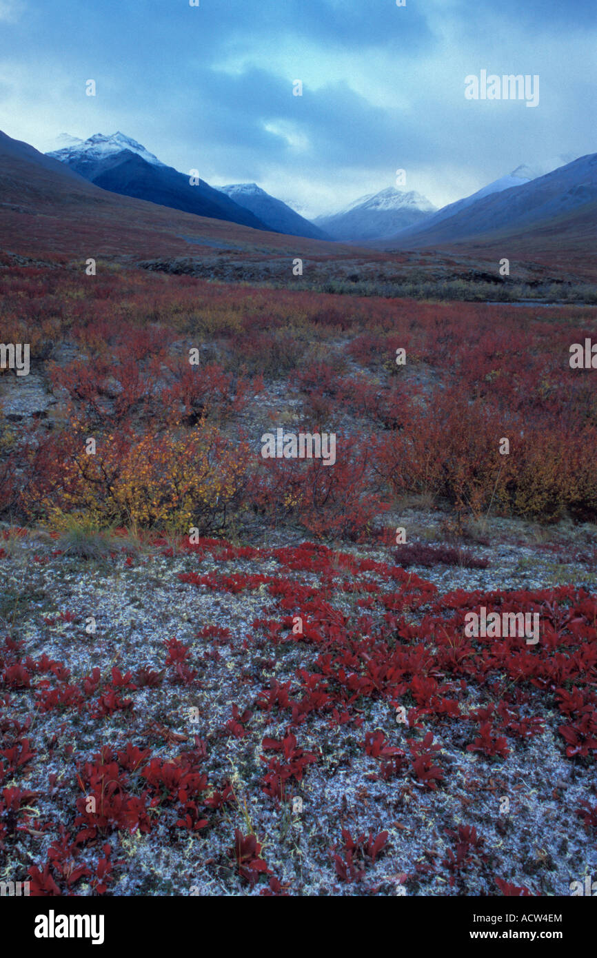 Brooks Range montagnes en automne, Gates of the Arctic National Park, Alaska Banque D'Images