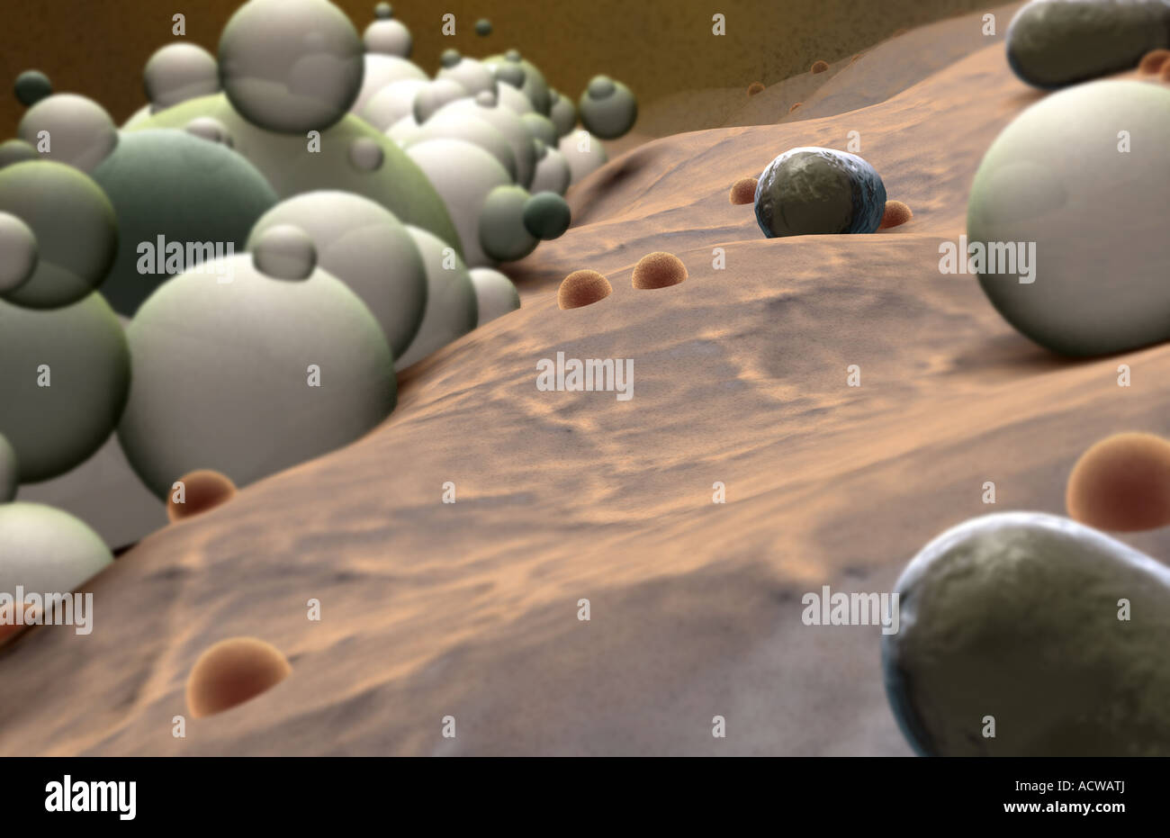 Des microsphères de cellules Banque D'Images