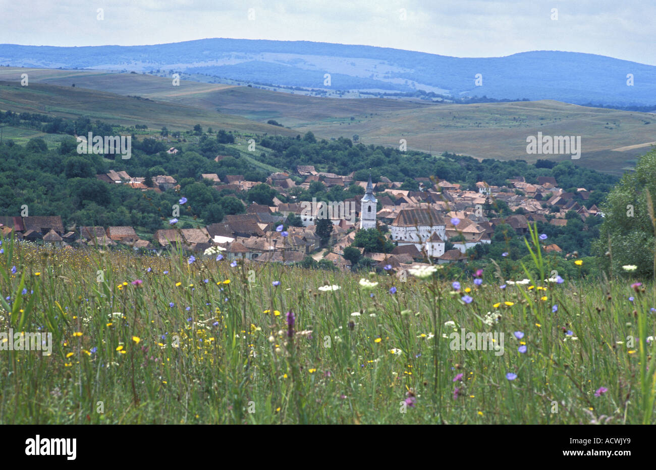 Flower meadow avec le village d'Szekelyderz en arrière-plan la Transylvanie Roumanie Banque D'Images