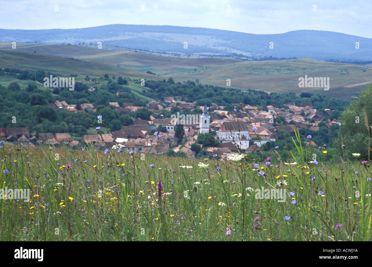 Flower meadow avec le village d'Szekelyderz en arrière-plan la Transylvanie Roumanie Banque D'Images