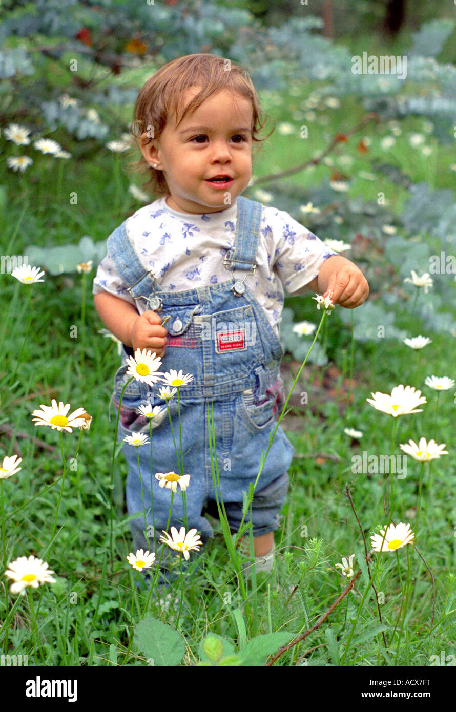 Petite fille de 2 ans bénéficiant d'une fleur marguerite (Leucanthemum vulgare) champ dans les montagnes de Cordoue, centre de l'Argentine Banque D'Images