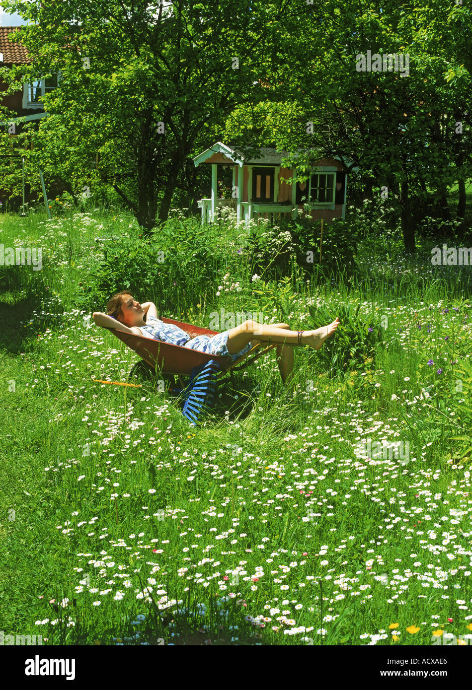 Girl resting in brouette en cour remplie de fleurs bellis Banque D'Images