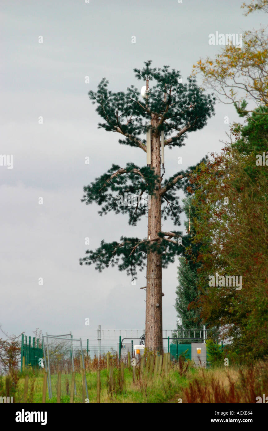 Mât de téléphonie mobile déguisé en arbre Banque D'Images