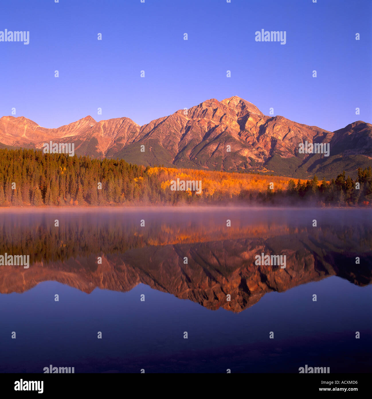 Le Parc National Jasper, le lac Patricia, Pyramid Mountain, Rocheuses canadiennes, l'Alberta, Canada - Paysage paysage d'automne, Réflexion Banque D'Images