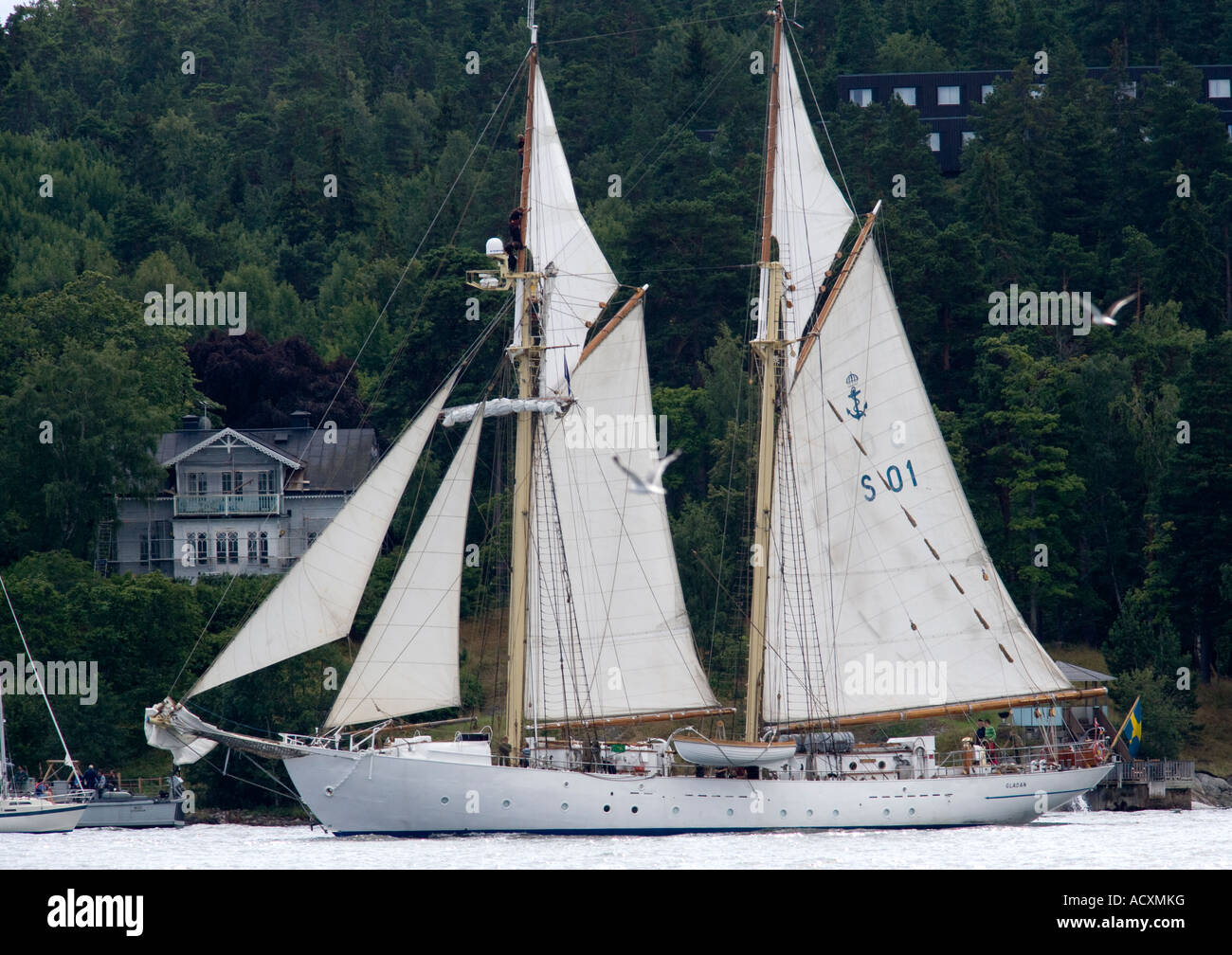 Course des grands voiliers 2007 Stockholm Banque D'Images