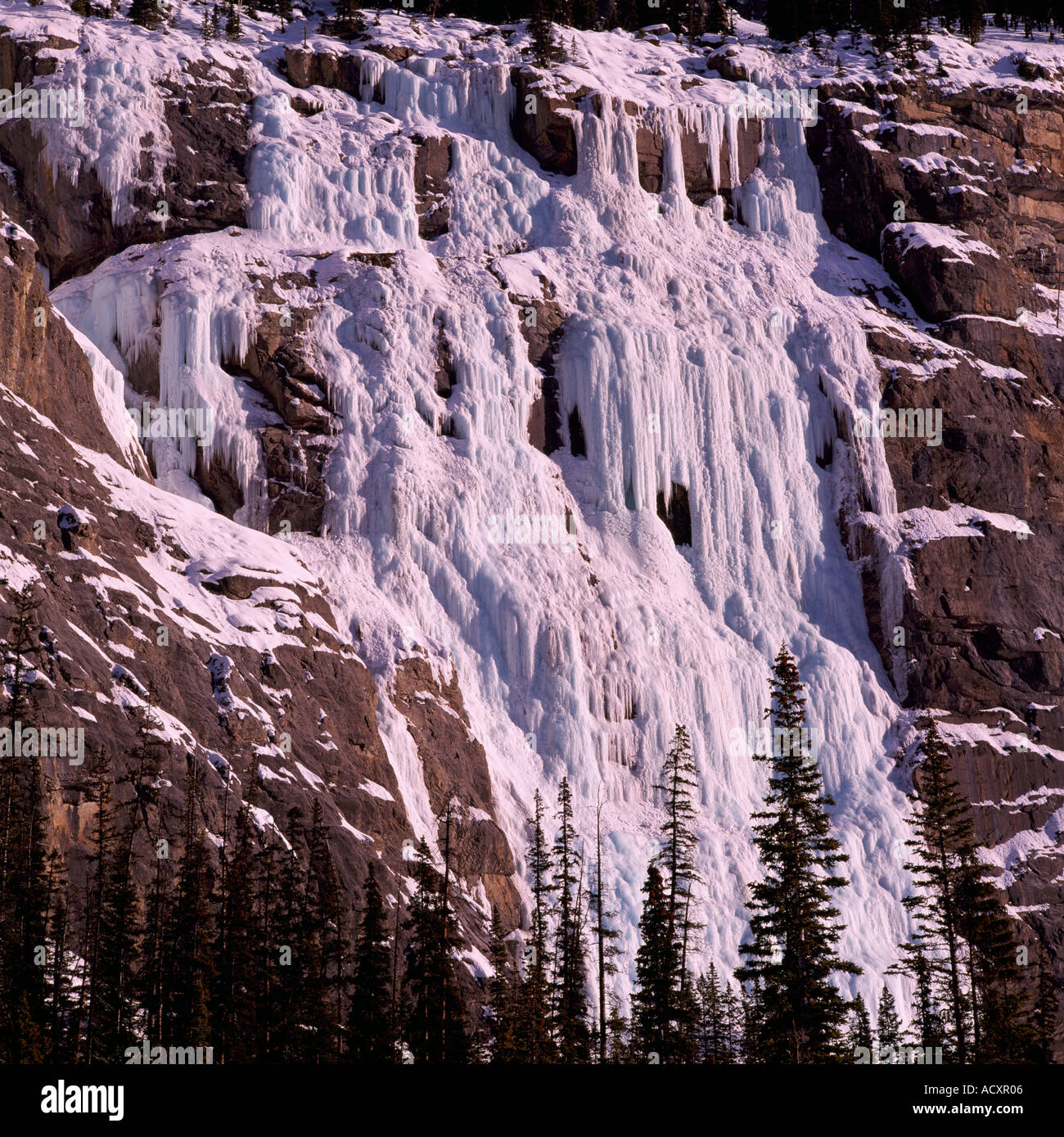 Paroi en pleurs en hiver le long de la promenade des Glaciers du parc national Banff, Alberta, Canada - Canadian Rockies Banque D'Images