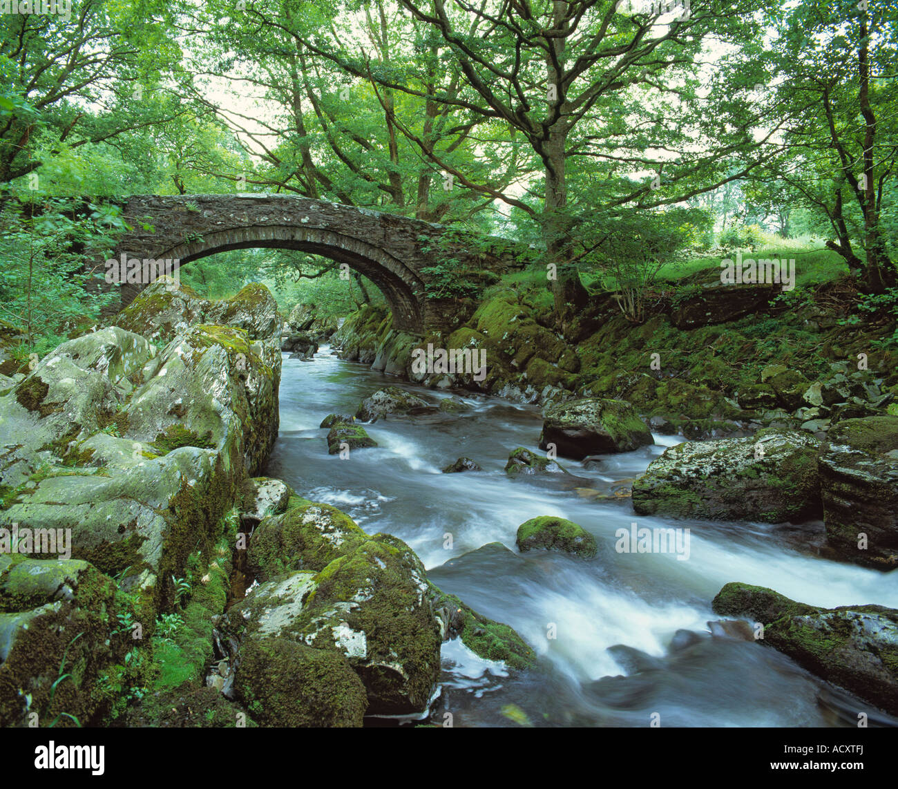 Go GALLES CONWY PRÈS DE Betws y Coed RIVER LLEDR ANCIEN PACK HORSE BRIDGE Banque D'Images