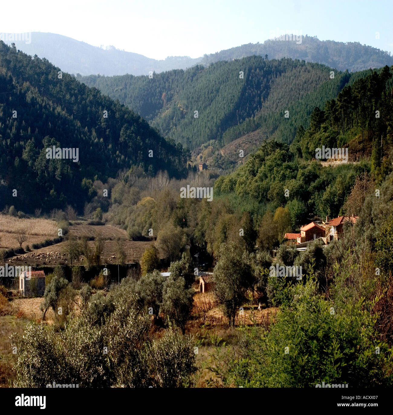 Valley près de ville de Alvoco das Varzeas petite ville dans le centre-nord du Portugal Banque D'Images