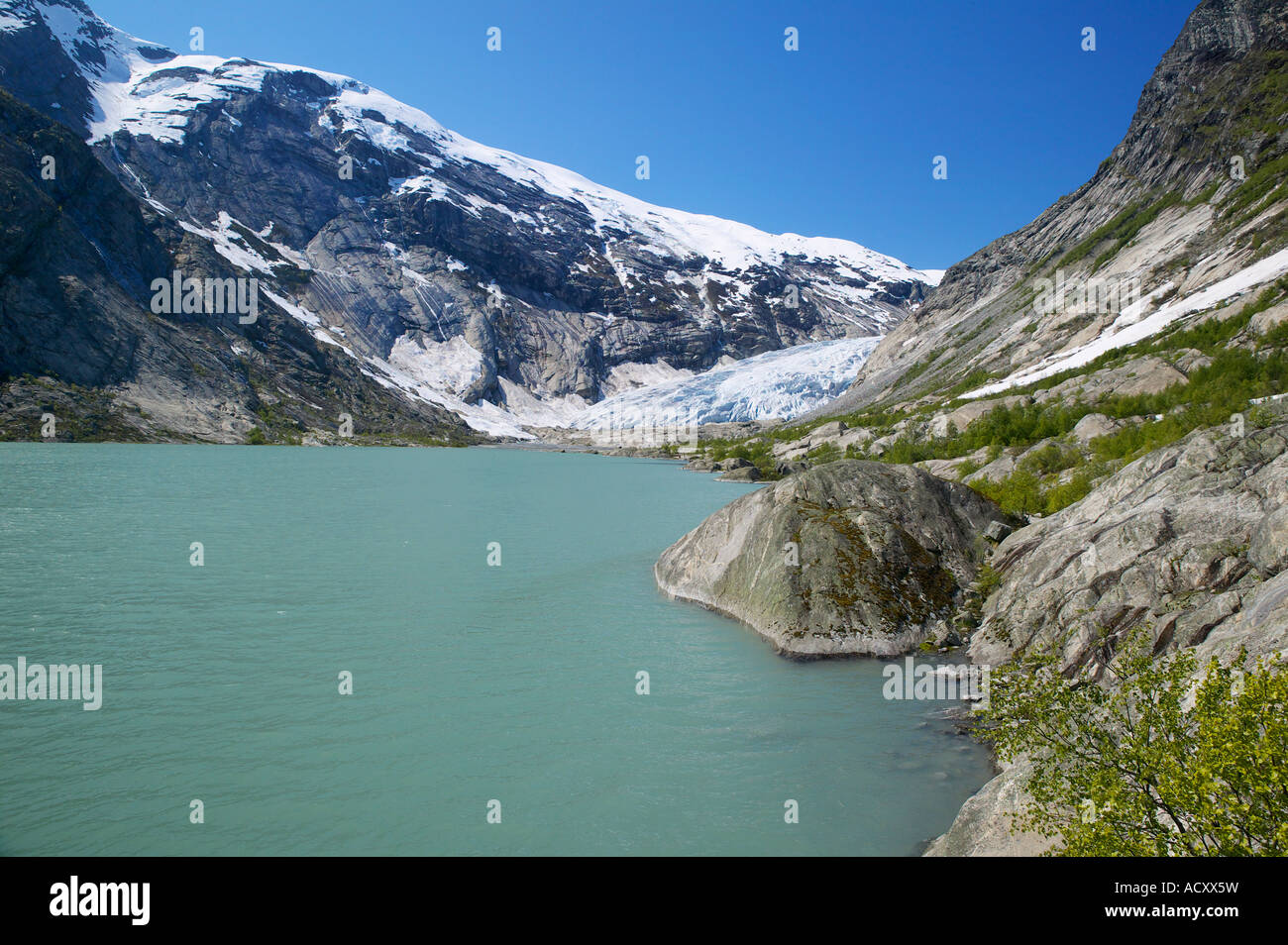 Le glacier Nigardsbreen dans le Parc National de Jostedalsbreen, lustre, Sogn og Fjordane, Norvège Banque D'Images