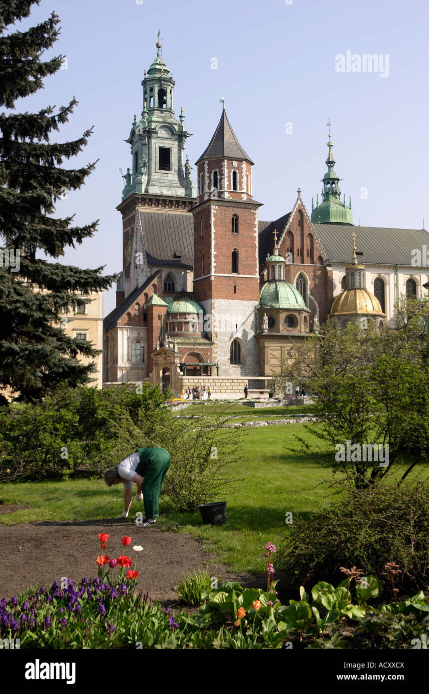 La cathédrale du Wawel à Cracovie, Pologne Banque D'Images