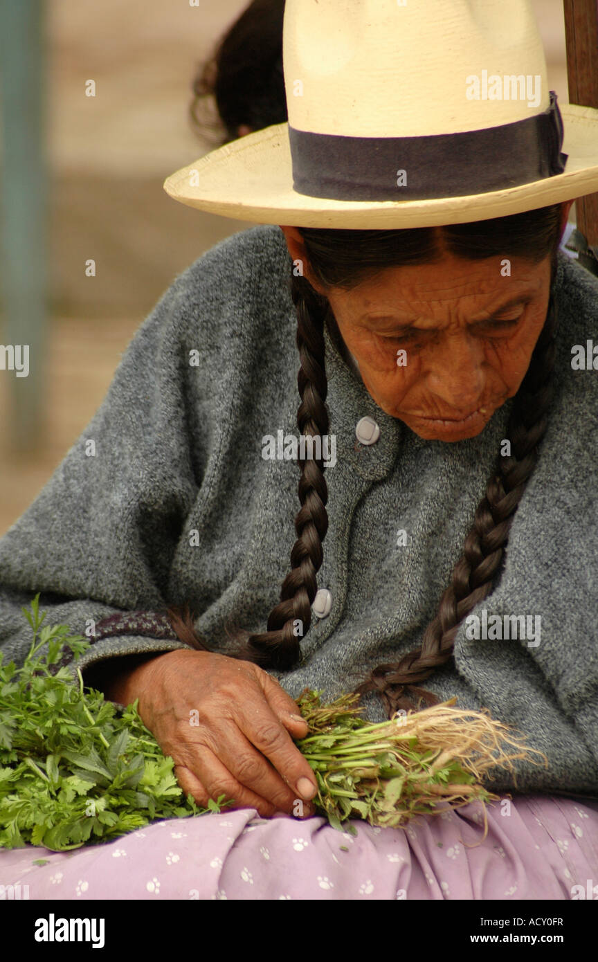 Vieille Femme vendant plante dans un marché de rue Pérou Amérique du Sud Banque D'Images