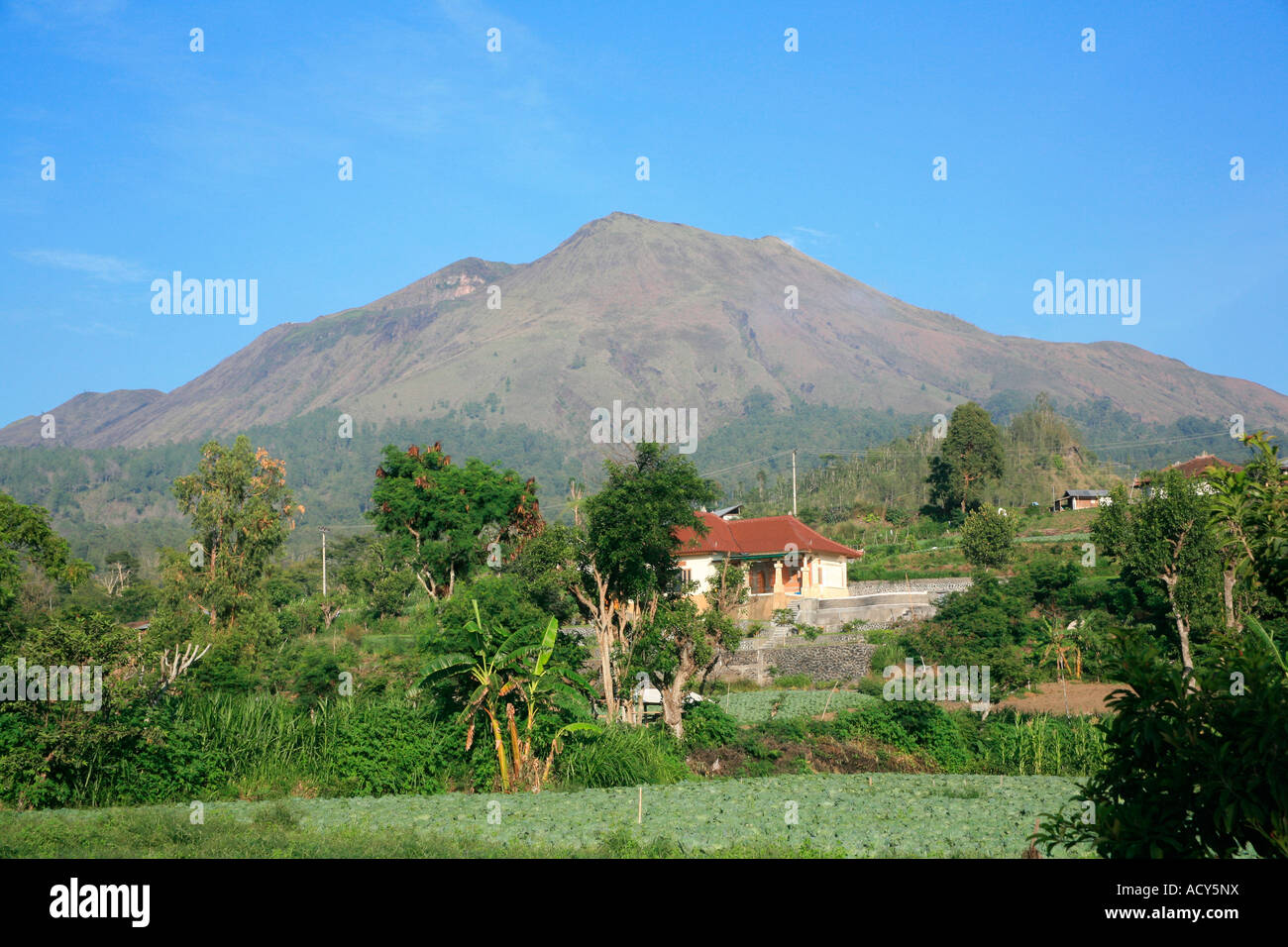 Batur Volcano, Bali, Indonésie Banque D'Images