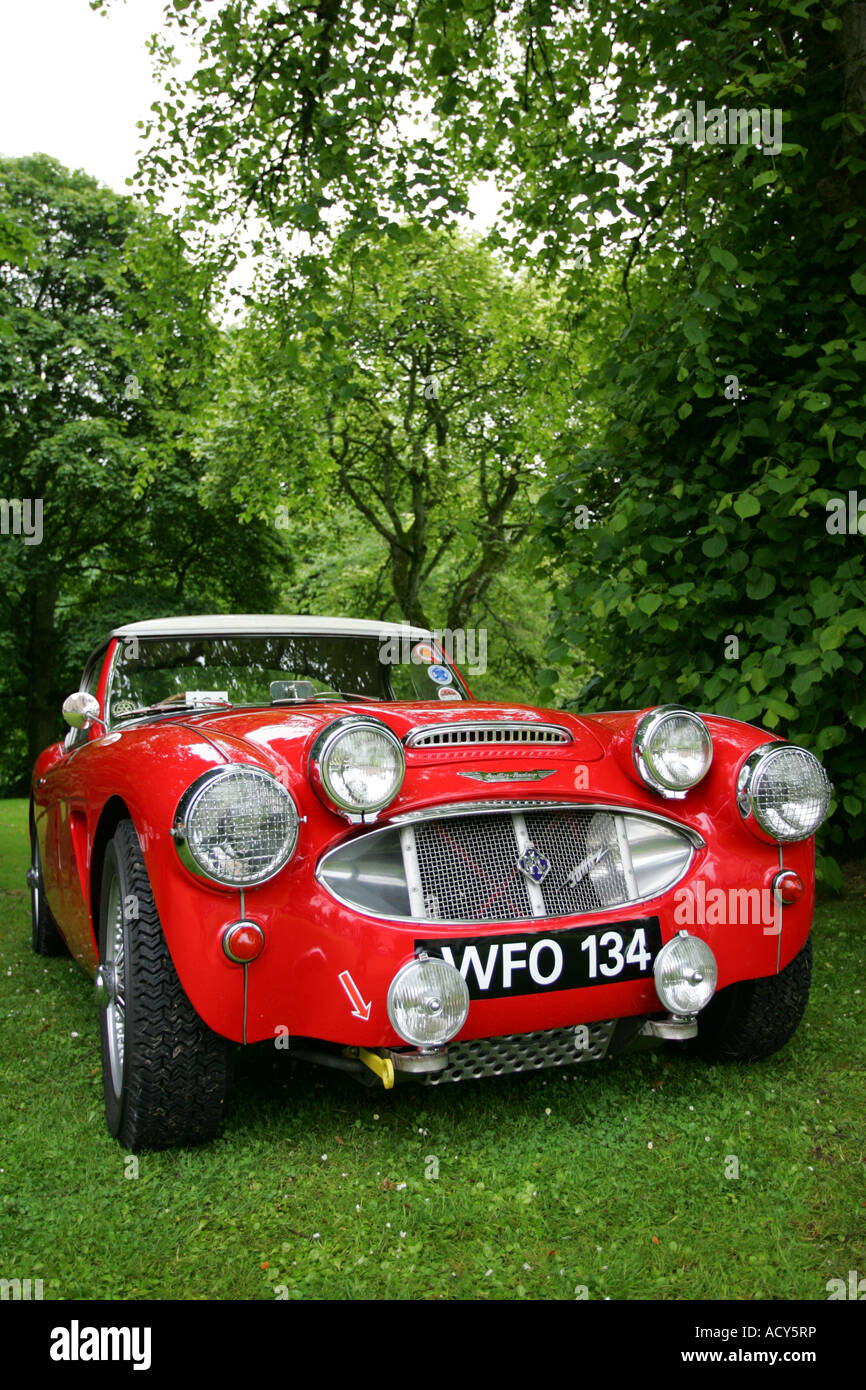 Austin Healey rouge à vintage car show à Fyvie Castle, Aberdeenshire, Scotland, UK Banque D'Images