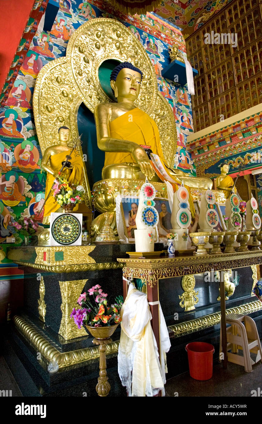 L'image de Bouddha. Temple bouddhiste coréen. Lumbini. Lieu de naissance de Bouddha. Le Népal Banque D'Images