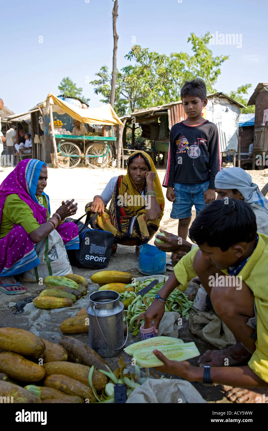 Vendeur de concombre. Marché. Lumbini. Le Népal Banque D'Images
