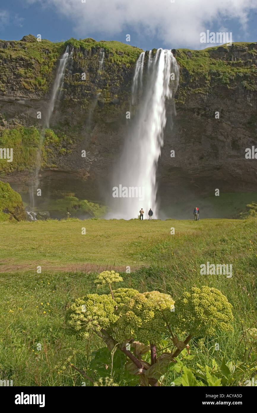 Cascade de Seljalandsfoss Islande dans le Sud Banque D'Images