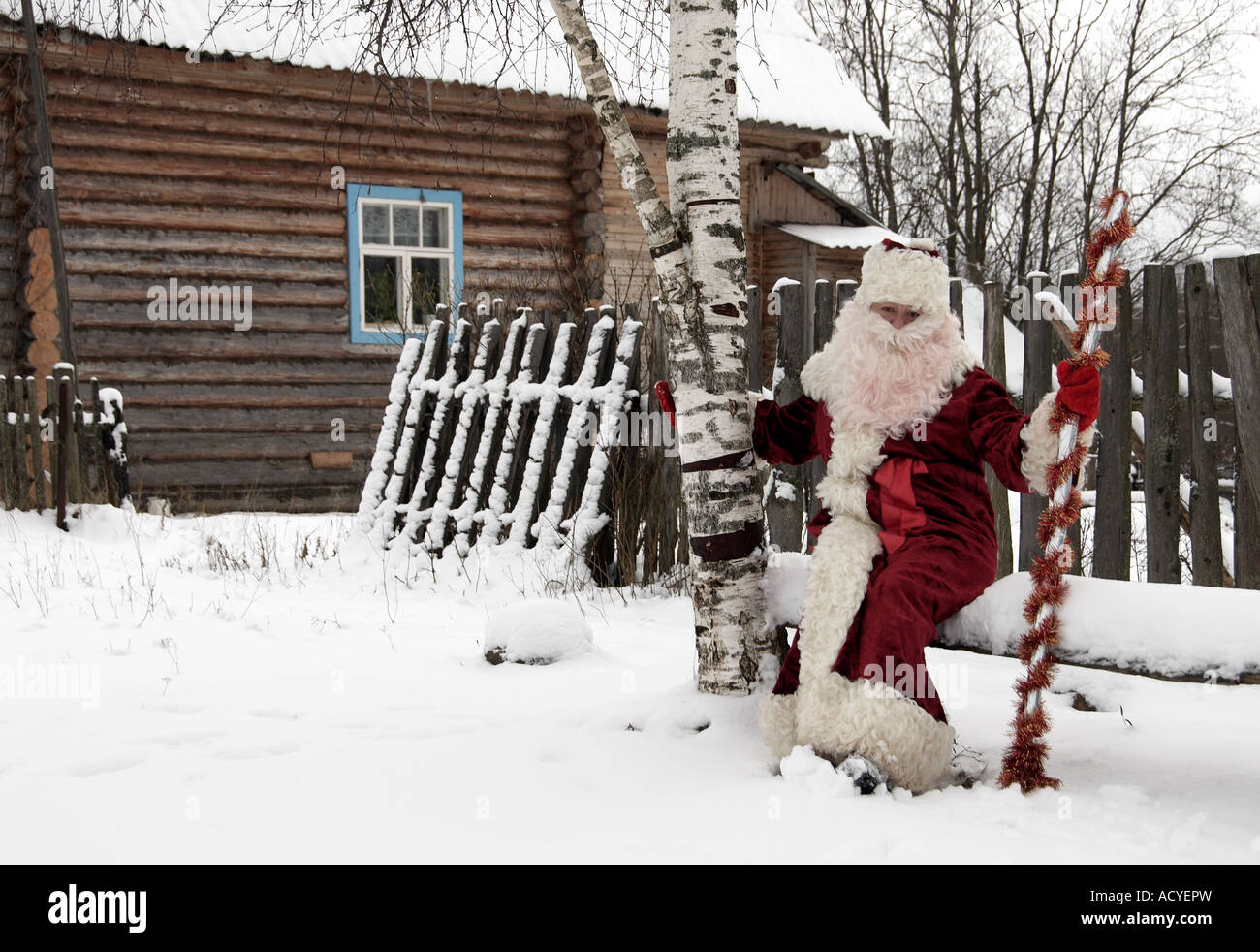 Vœux de Noël de Ded Moroz, dans la région de Leningrad, Russie Banque D'Images