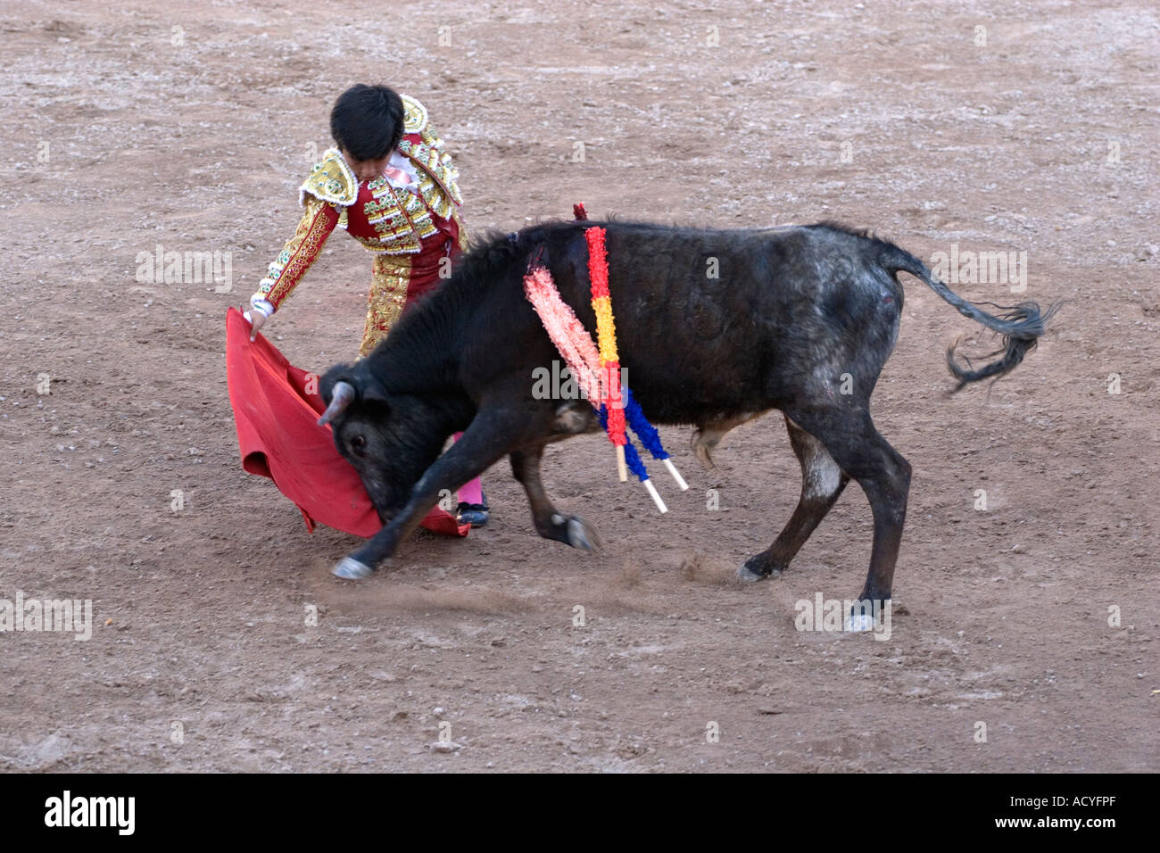 L'enfant de 9 ans MIRABAL RAFITA matador combat un taureau dans la Plaza de Toros SAN MIGUEL DE ALLENDE MEXIQUE Banque D'Images