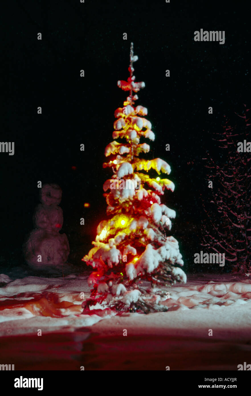 Arbre de Noël lumineux brille dans l'obscurité dans une cour neige Banque D'Images