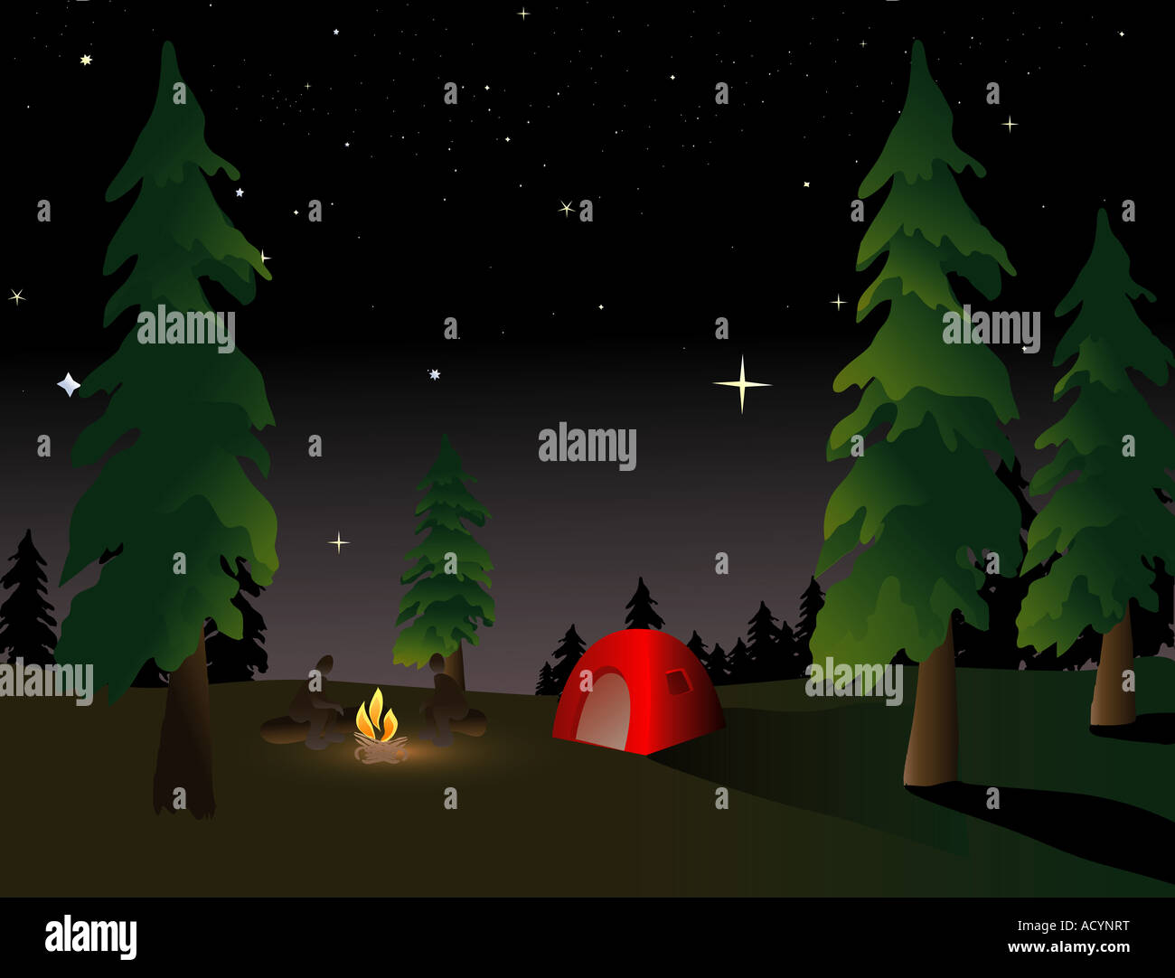 Camping dans la nature sous un ciel de nuit d'été Banque D'Images