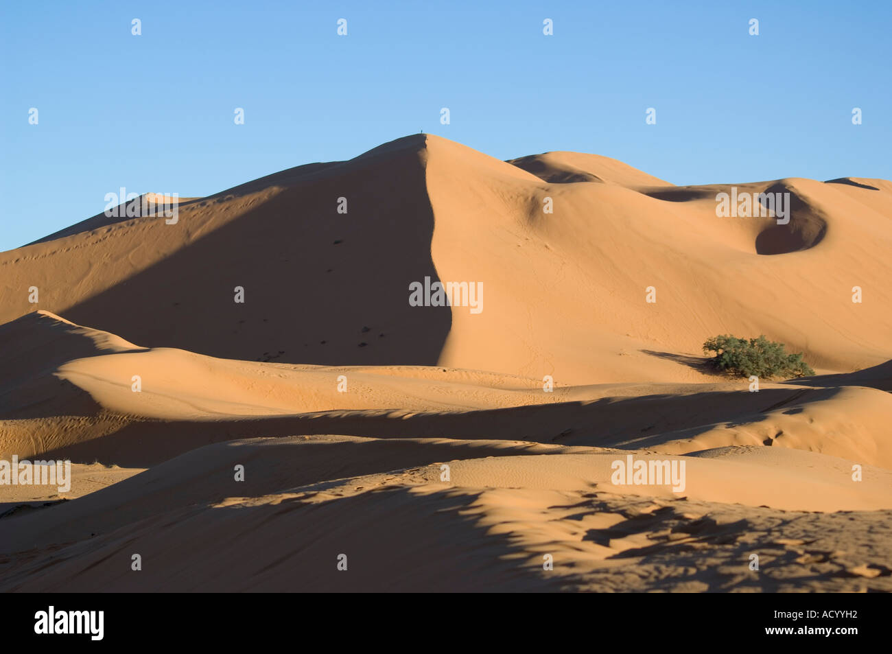 Erg Chebbi dunes de sable de Merzouga Afrique Morcooo Banque D'Images